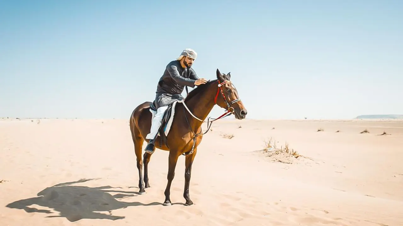 ركوب الخيل و الجمال بالإفطار