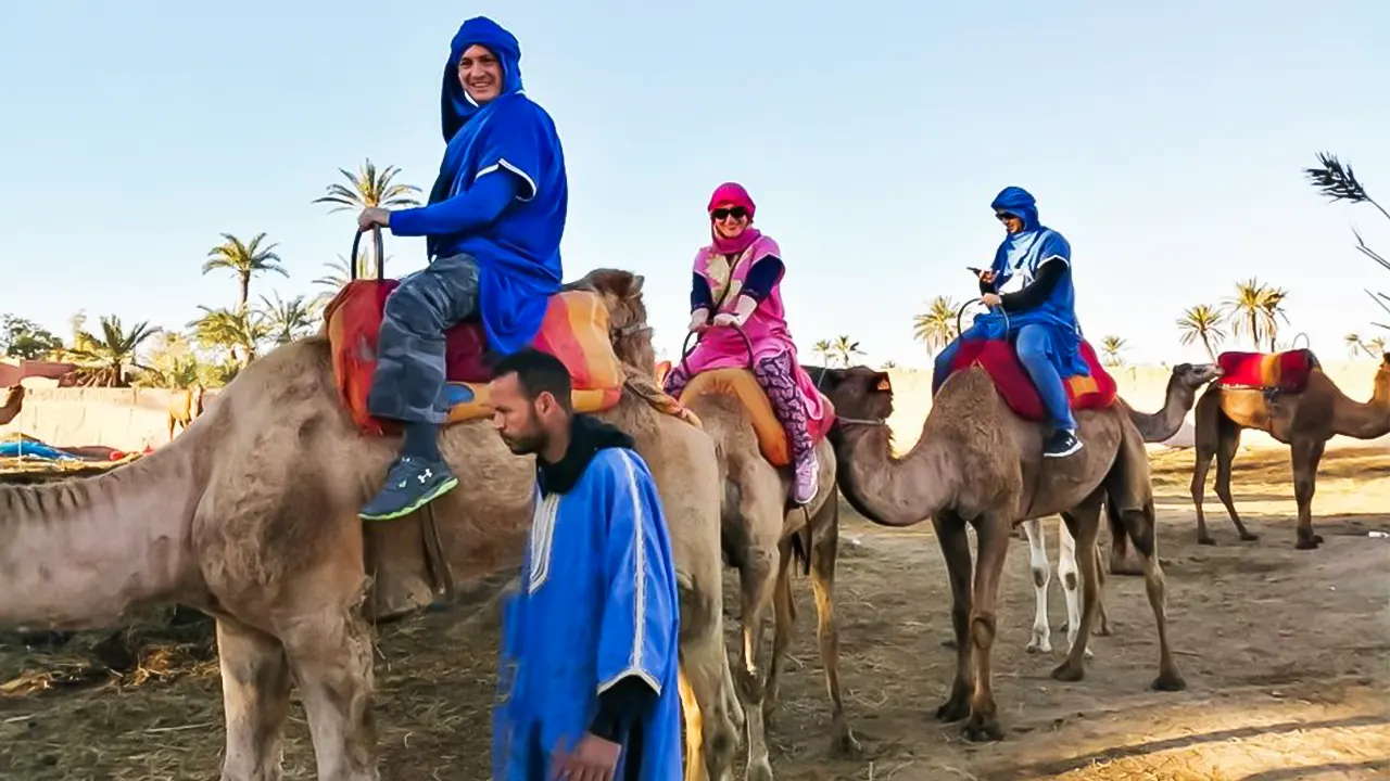 ركوب الجمال في واحة بالميراي