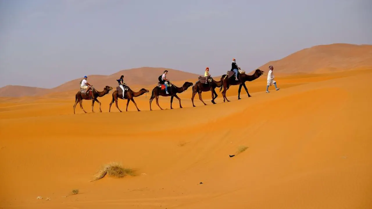 سفاري في الصحراء بسيارة رباعية الدفع مع وجبات خفيفة ونقل