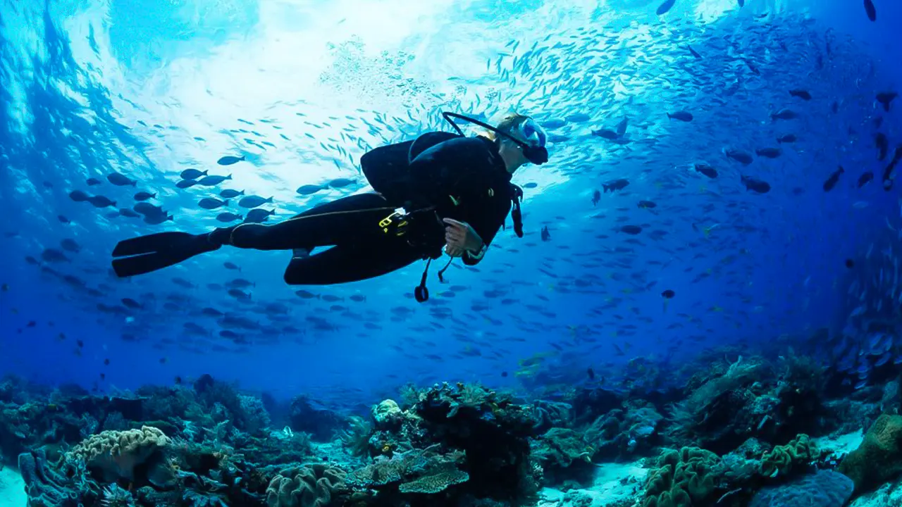 Scuba Diving with Pickup